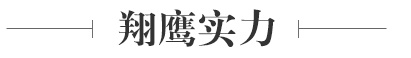 翔鷹實(shí)力
