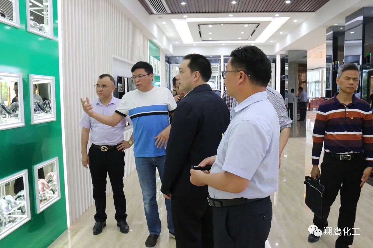 熱烈歡迎“清遠市英德市”兩級人民政府主要領導一行蒞臨我司